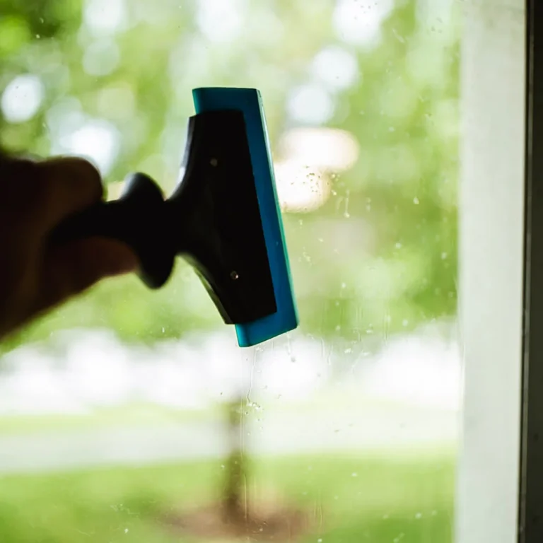 Close-up of a hand using a squeegee with a blue blade to clean a glass window, with a blurred green outdoor scene in the background.