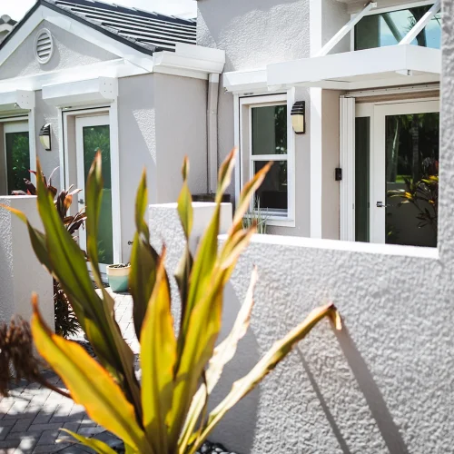 Modern light gray home exterior with white trim, featuring multiple windows and glass doors framed by clean architectural lines. Tropical plants with long green leaves add a touch of greenery to the entryway.